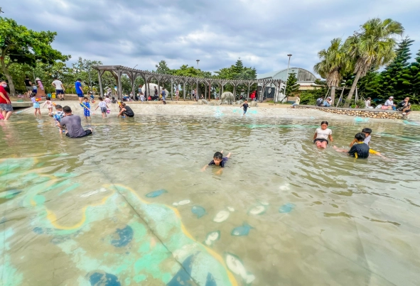 南寮旅遊攻略 南寮旅遊攻略