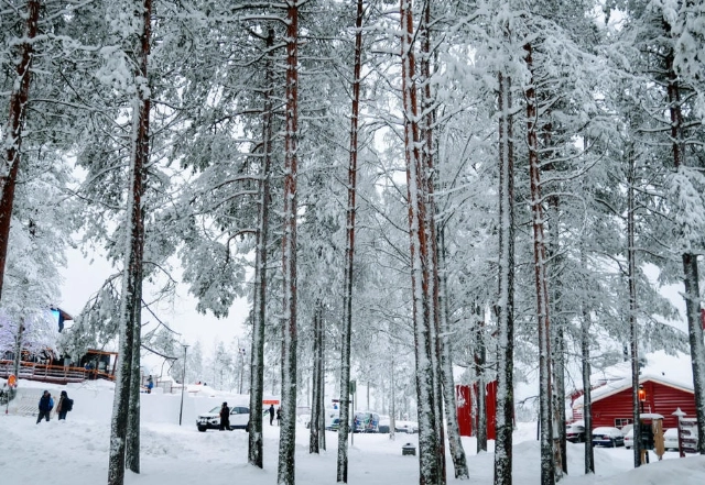 芬蘭極光自由行