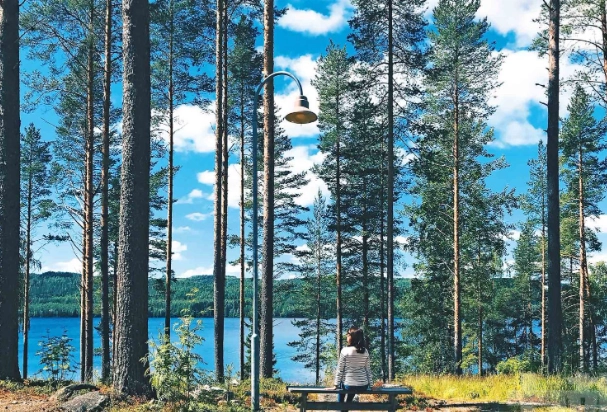 芬兰夏天行程 芬兰夏天行程