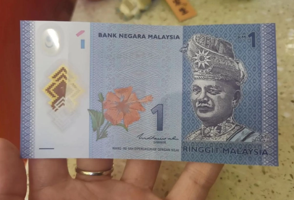 馬幣兌台幣匯率 馬幣兌台幣匯率