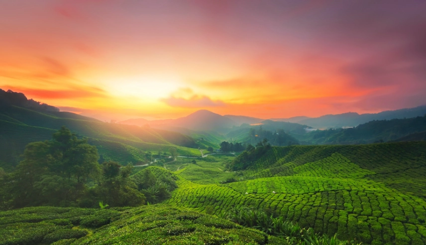 馬來西亞消費貴嗎 馬來西亞消費貴嗎