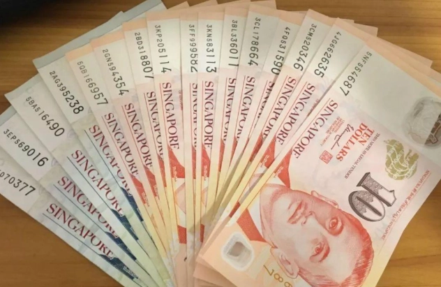 新加坡電子支付