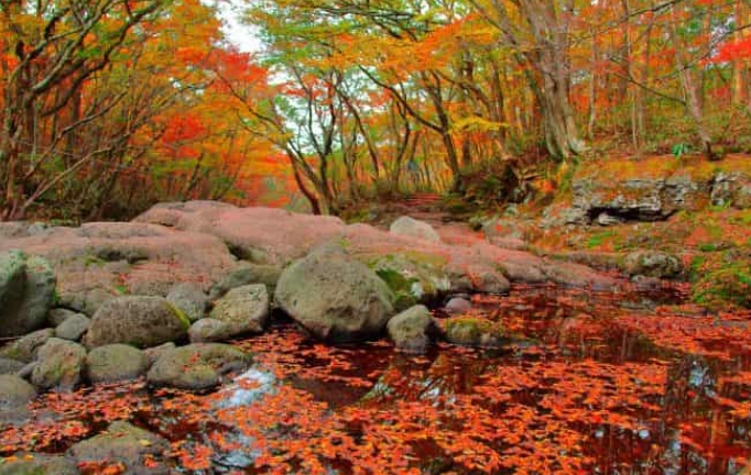 韓國秋季旅遊