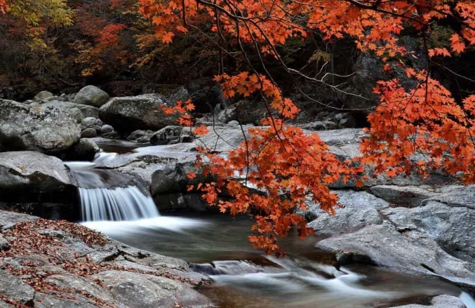 9月韓國旅行指南