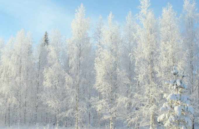 赫爾辛基一月日照