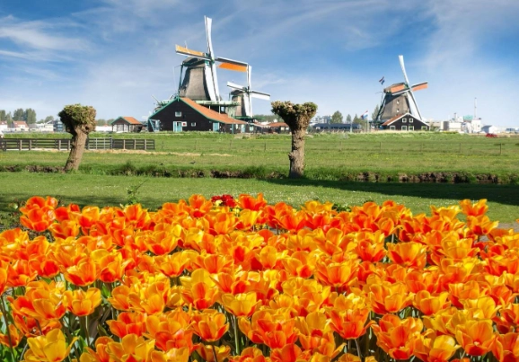 荷蘭自由行