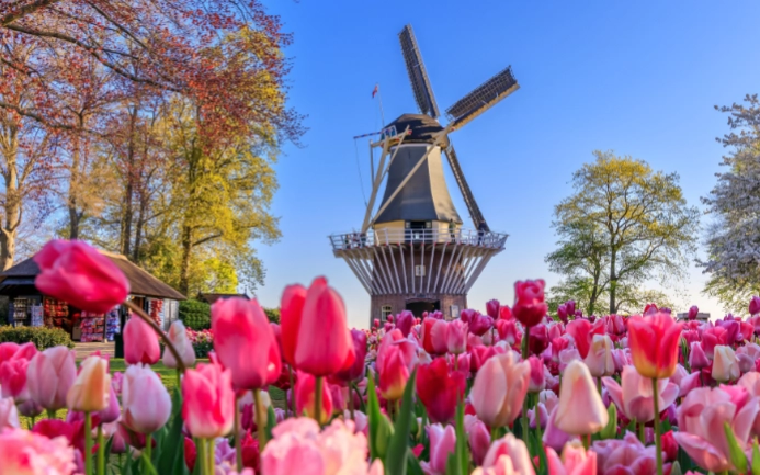 阿姆斯特丹獨自旅行