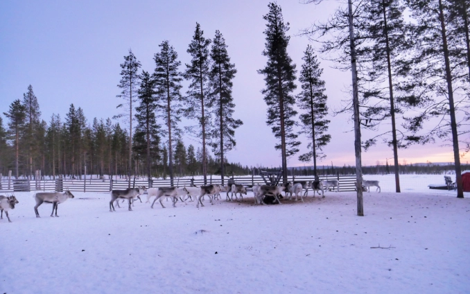 芬蘭三天兩夜行程